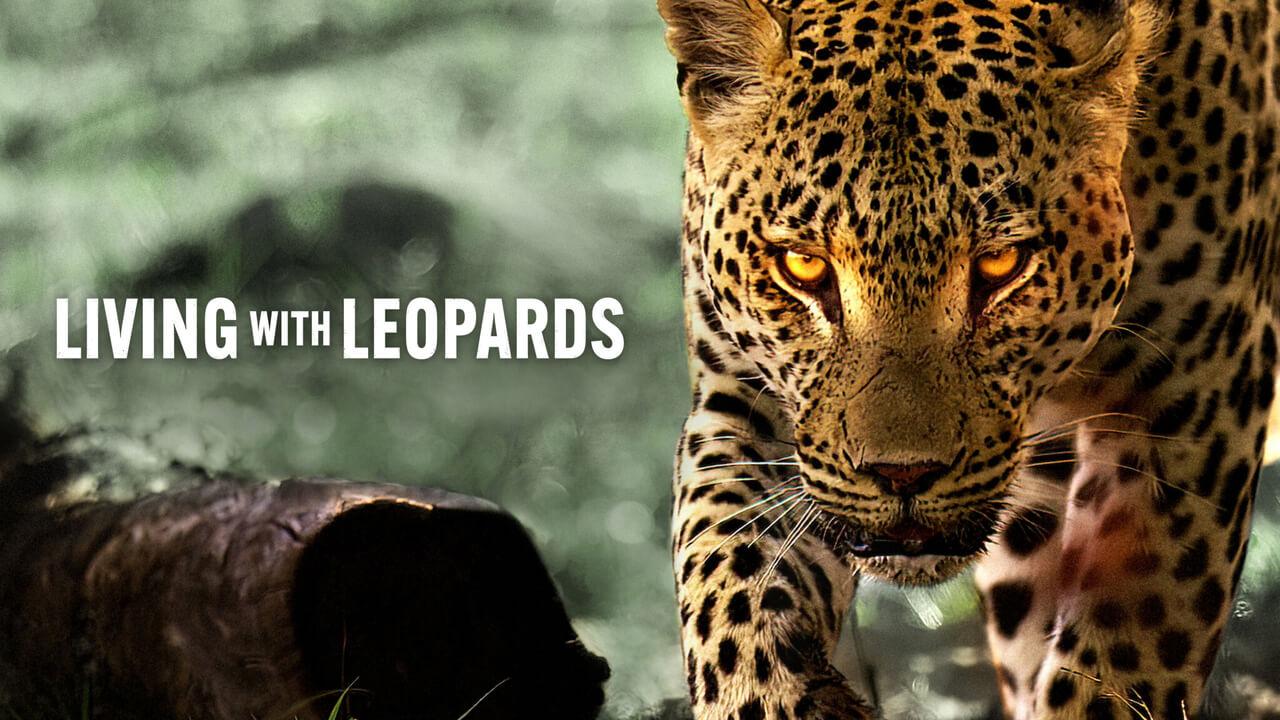 فيلم Living with Leopards 2024 مترجم كامل اون لاين HD