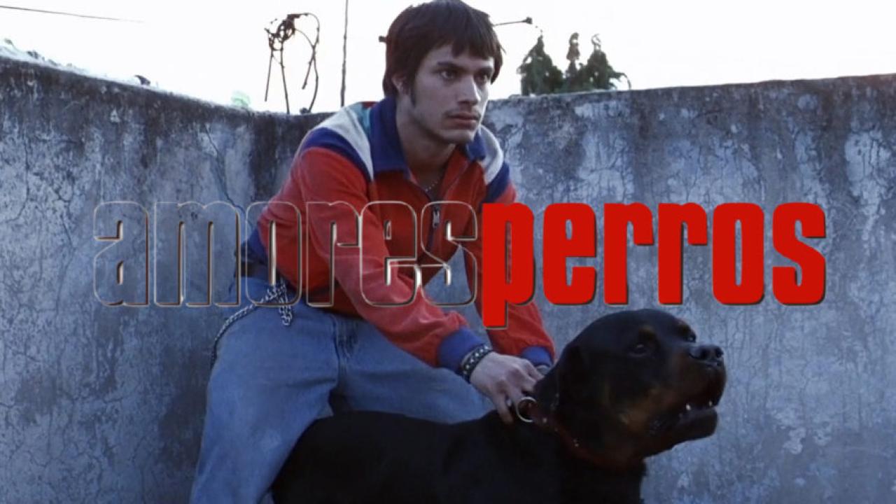 مشاهدة فيلم Amores Perros 2000 مترجم كامل اون لاين HD