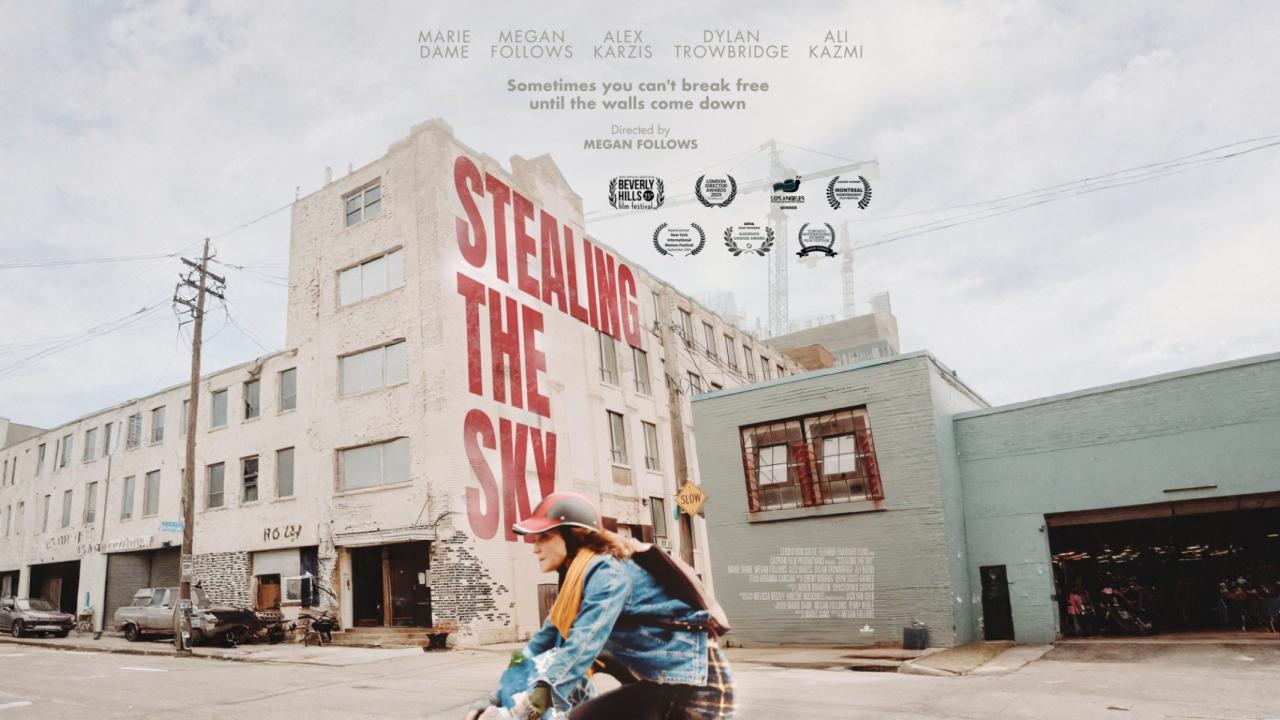 فيلم Stealing the Sky 2025 مترجم اون لاين HD