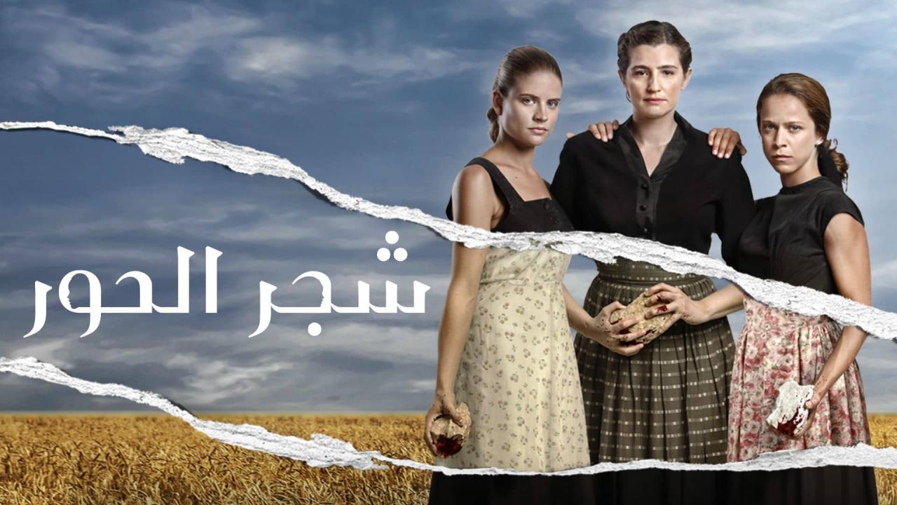 شجر الحور